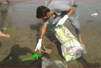 নদীর ধারে বস্তা আটকে গিয়েছিল কোদালে, অতঃপর মুখ খুলতেই উঁকি মারল সে...