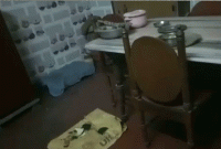 বাসায় ফিরে মায়ের এই দৃশ্য দেখতে হবে তা ভাবতে পারেননি ছেলে