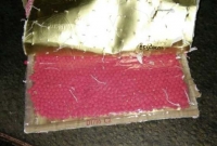 কক্সবাজারে কোরান শরীফের ভেতরে লুকিয়ে ইয়াবা পাচার, আটক ৩