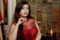 বিয়ে করছেন জনপ্রিয় অভিনেত্রী এ্যানি