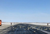 খুলে গেল বিমানের দরজা, শুরু হলো স্বর্ণের বৃষ্টি!