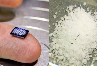 মাত্র ১০ টাকায় কেনা যাবে কম্পিউটার!