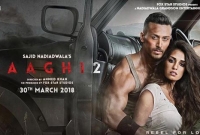 প্রথম দিনেই ২৫ কোটি টাকার ব্যবসা করল 'বাঘি ২'