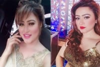 গাড়ি দুর্ঘটনায় গুরুতর আহত চিত্রনায়িকা তানহা!