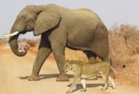 অবশেষে সোশ্যাল মিডিয়ায় ভাইরাল হওয়া সেই ছবির রহস্য ফাঁস!