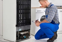 যে কারণে ফ্রিজের পেছনের প্লাস্টিক 'অত্যন্ত বিপজ্জনক'