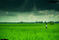 বাংলাদেশের শীর্ষ ধনী ও গরিব জেলার তালিকা প্রকাশ, এক নম্বরে কোন জেলা?