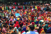  যে কারণে আন্দোলন স্থগিতের সিদ্ধান্ত নিয়েছে শিক্ষার্থীরা