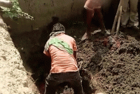মিস্ত্রিরা খোঁড়াখুঁড়ি শুরু করলে পচা গন্ধ পান, আরো একটু খুঁড়তেই জানা গেল আসল তথ্য
