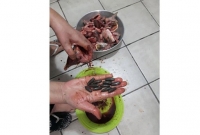 ইলিশের পেটে ‘বুলেট’!