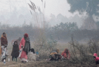  ভারতে লোকেরা টয়লেটে যায় না কেন?