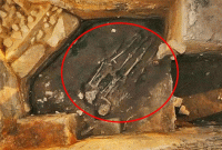 রাজপ্রাসাদের তলা থেকে উদ্ধার হাজার বছরের কঙ্কাল, মৃত্যুর কারণ জেনে বিস্মিত দুনিয়া