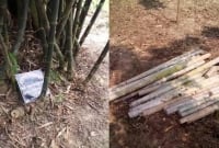 যুবদল নেতার কবরের ওপর লাঠি দিয়ে সজোরে আঘাত করে উল্লাস!