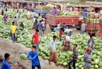 তরমুজের পিস মাত্র ৪০ টাকা! 