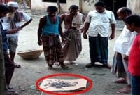 ভোলায় সাপ আতংকে বন্ধ ক্লিনিক!