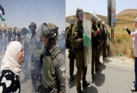 অস্তিত্ব রক্ষায় ফিলিস্তিনিদের আর মৃত্যুভয় নেই