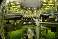 অবশেষে হলো মঙ্গলে সবজি চাষ!