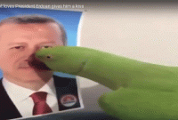 এরদোগানকে তোতা পাখির চুমু খাওয়ার ভিডিও ভাইরাল 