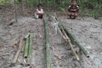 সাত শ্রেণির মানুষকে কবরে কোনো প্রশ্ন করা হবে না