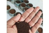 এক কেজি চা ১১ হাজার টাকায় বিক্রি!