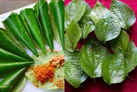 পান পাতার যত গুনাগুন জানলে অবাক হবেন