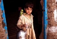 শরণার্থী বালকের সঙ্গে একটি পাখির সম্পর্কের গল্প