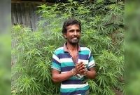 ‘আমাকে মেরে ফেলেন কিন্তু আমার গাছ উপড়ে ফেলবেন না’