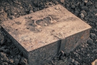 বাগান সাফ করতে গিয়ে গুপ্তধনের সন্ধান!