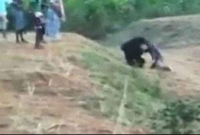 ভল্লুকের সঙ্গে সেলফি তুলতে গিয়ে প্রাণ খোয়ালেন যুবক