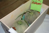 দুই তরমুজের দাম প্রায় ২৫ লাখ!