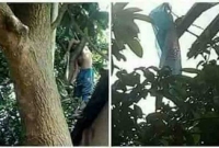 পতাকা উড়াতে গিয়ে জীবন গেল এক আর্জেন্টিনা ভক্তের