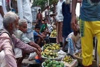 পানির দামে আম বিক্রি!