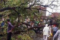 ঝড়-বজ্রপাতে  নিহত ২৬