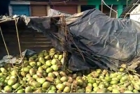 বাইকের পিছনে বসে থাকা নাতির গায়ে হাত দিতেই ঘটে গেল এই বিপর্যয়! 