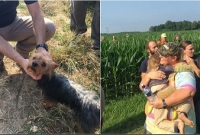 সারা রাত পাহারা দিয়ে ছোট্ট মেয়েটিকে বাঁচাল কুকুর!