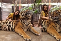 বাঘের সঙ্গে মিমের ঈদ আনন্দ!