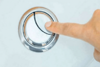 অনেকেই জানেন না টয়লেটের ফ্ল্যাশে কেন দুটি বোতাম থাকে