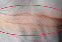 এই রেখা যার কব্জিতে আছে তার ভাগ্যে কী আছে জানেন?