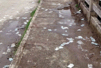 রাস্তায় পড়ে থাকা ২০ কোটি টাকা নিতে খণ্ডযুদ্ধ, অতঃপর...