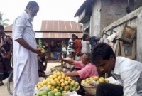 আমের কেজি ২ টাকা!