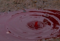 আকাশ থেকে রক্তবৃষ্টি! স্তম্ভিত ও আতঙ্কিত শহরবাসী