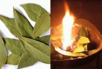 মাত্র একবার ১০ মিনিট তেজপাতা পুড়িয়ে দেখুন, অবাক করা ম্যাজিক!