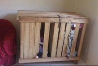 সন্তানদের বাক্সবন্দী করে কাজে যেতেন বাবা-মা!