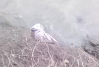 বরগুনায় মৃত্যুর ৩২ বছর পর লাশ অক্ষত!