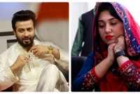 যে একটিমাত্র কারেণেই ডিভোর্স, যা খোলসা করেছিলেন অপু