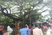 গাছ ও দিঘির কেরামতি,  গোসল, গাছের ছাল ভিজিয়ে পানি খেলে রোগ মুক্ত!