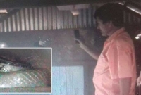 ঘুম ভাঙতেই বিছানায় সাপের দর্শন, অতঃপর...