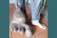 মাটি খুঁড়তেই বের হয়ে এল দানবীয় পা!