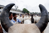 ঈদুল আজহার তারিখ নিয়ে সিদ্ধান্ত রোববার