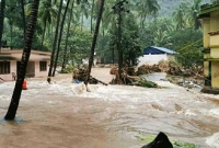 পুরো পরিবারকে বাঁচিয়ে নায়ক বনে গেল পোষা কুকুর!